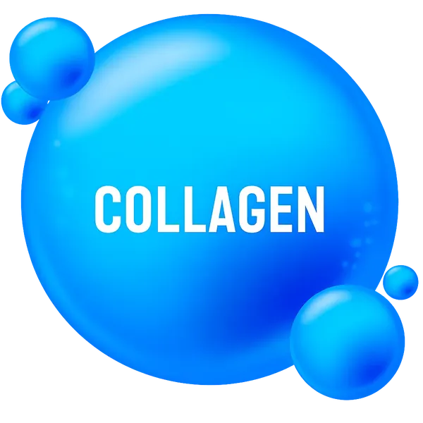 Colágeno Hidrolizado — ingrediente de Mobiflex
